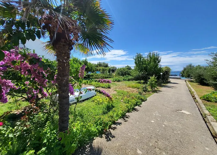 Double Banjol 2008b 4* ラブ