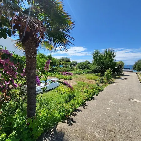 Double Banjol 2008b 4* 拉布